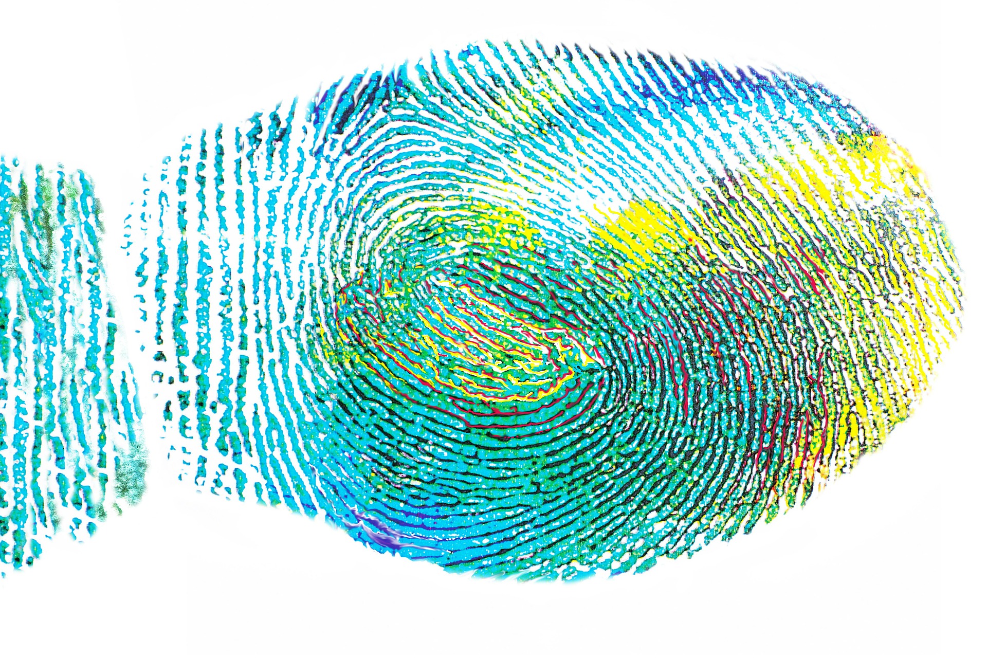 DNA Fingerprints